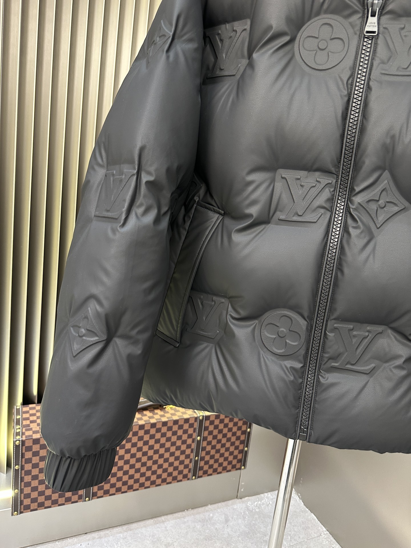 Louis Vuitton Down Jackets